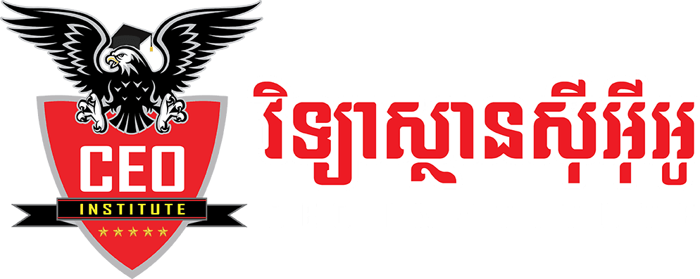 CEO Institute
